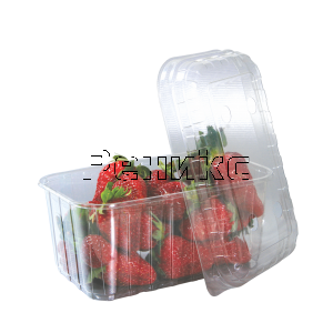 кутия плод 1000