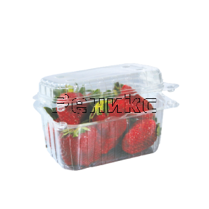 плод конт 375